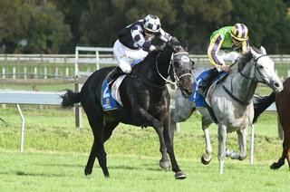 Five to Midnight wins the Listed Hawke's Bay Gold Cup. Photo: Race Images, Palmerston North